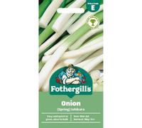 Mr Fothergills Mr. Fothergills Onion Seeds - Ishikura