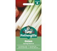 Mr Fothergills Mr. Fothergills Onion Seeds - Ramrod