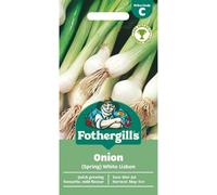 Mr Fothergills Mr. Fothergills Onion Seeds - White Lisbon