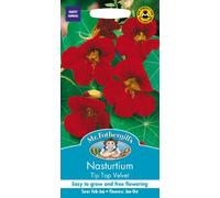 Mr. Fothergill's Nasturtium Tip Top Velvet Flower Seeds