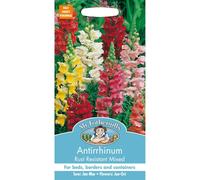 Mr Fothergills - Pictorial Packet - Flower - Antirrhinum Rust Resistant Mixed - 1000 Seeds
