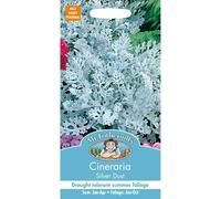 Mr Fothergills - Pictorial Packet - Flower - Cineraria - Silver Dust - 200 Seeds