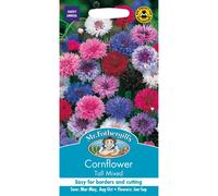 Mr Fothergills - Pictorial Packet - Flower - Cornflower Tall Mixed - 500 Seeds