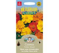 Mr Fothergills - Pictorial Packet - Flower - Cosmos Polidor Mixed - 60 Seeds