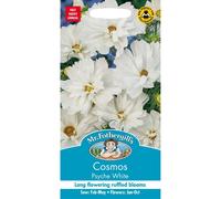Mr Fothergills - Pictorial Packet - Flower - Cosmos Psyche White - 60 Seeds