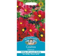 Mr. Fothergill's Cosmos Rubenza Seeds