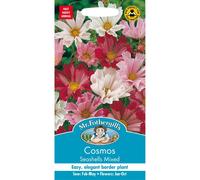Mr Fothergills - Pictorial Packet - Flower - Cosmos Seashells Mixed - 60 Seeds