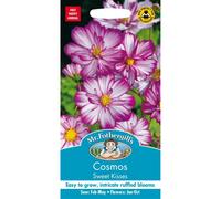 Mr Fothergills - Pictorial Packet - Flower - Cosmos Sweet Kisses - 30 Seeds