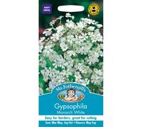 Mr Fothergills - Pictorial Packet - Flower - Gypsophila Monarch White - 1000 Seeds