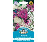Mr Fothergills - Pictorial Packet - Flower - Honesty Purple and White Mixed - 50 Seeds