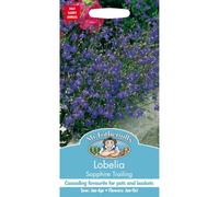 Mr Fothergills - Pictorial Packet - Flower - Lobelia Sapphire Trailing - 2000 Seeds