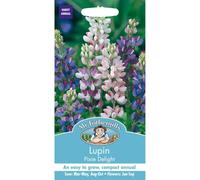 Mr Fothergills - Pictorial Packet - Flower - Lupin Pixie Delight - 75 Seeds