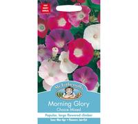 Mr Fothergills - Pictorial Packet - Flower - Morning Glory Choice Mixed - 50 Seeds