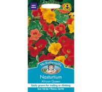 Mr Fothergills - Pictorial Packet - Flower - Nasturtium African Queen - 25 Seeds