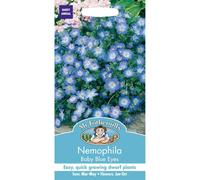 Mr Fothergills - Pictorial Packet - Flower - Nemophila Baby Blue Eyes - 500 Seeds