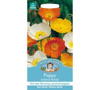 Mr Fothergills - Pictorial Packet - Flower - Poppy Iceland Mixed - 2000 Seeds