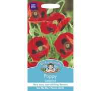 Mr Fothergills - Pictorial Packet - Flower - Poppy Ladybird - 1000 Seeds