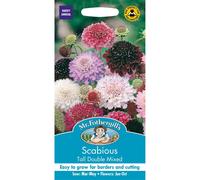 Mr Fothergills - Pictorial Packet - Flower - Scabious Tall Double Mixed - 50 Seeds