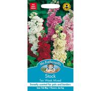 Mr Fothergills - Pictorial Packet - Flower - Stock Ten Week Mixed - 250 Seeds