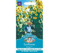 Mr Fothergill's 25764 Flower Seeds, Sunflower Kong F1
