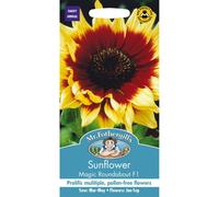 Mr Fothergills - Pictorial Packet - Flower - Sunflower Magic Roundabout F1 - 50 Seeds
