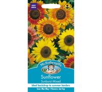 Mr Fothergills - Pictorial Packet - Flower - Sunflower Sunburst MIxed - 50 Seeds