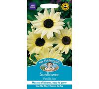 Mr Fothergills - Pictorial Packet - Flower - Sunflower Vanilla Ice F1 - 50 Seeds