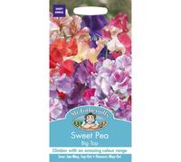 Mr Fothergills - Pictorial Packet - Flower - Sweet Pea - Big Top - 25 Seeds