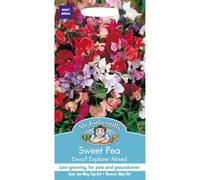 Mr Fothergills - Pictorial Packet - Flower - Sweet Pea - Dwarf Explorer Mixed - 25 Seeds