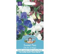 Mr Fothergills - Pictorial Packet - Flower - Sweet Pea Little bit of magic - 25 Seeds
