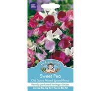 Mr Fothergills - Pictorial Packet - Flower - Sweet Pea Old Spice Mixed (grandiflora) - 30 Seeds