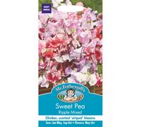 Mr Fothergills - Pictorial Packet - Flower - Sweet Pea Ripple Mixed - 20 Seeds