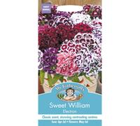 Mr Fothergills - Pictorial Packet - Flower - Sweet William Electron - 200 Seeds