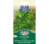 Mr Fothergills - Pictorial Packet - Herb - Coriander Calypso - 150 Seeds