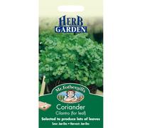 Mr Fothergills - Pictorial Packet - Herb - Coriander Cilantro - 150 Seeds