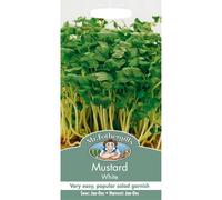 Mr Fothergills - Pictorial Packet - Salad - Mustard White - 2500 Seeds