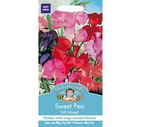 Mr Fothergills Pictorial Packet: Sweet Pea Tall Mixed (Spencer Type) - 40 Seeds, Hardy climber to 180cm