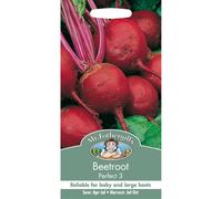 Mr Fothergills - Pictorial Packet - Vegetable - Beetroot Perfect 3 - 275 Seed