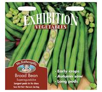 Mr Fothergills - Pictorial Packet - Vegetable - Broad Bean - Superaquadulce - 50 Seeds