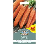 Mr Fothergills - Pictorial Packet - Vegetable - Carrot Extremo F1 - 350 Seeds