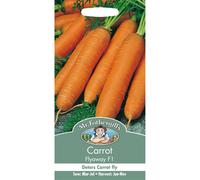 Mr Fothergills - Pictorial Packet - Vegetable - Carrot - Flyaway F1 - 500 Seeds