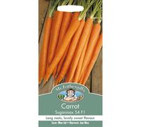 Mr Fothergills - Pictorial Packet - Vegetable - Carrot - Sugarsnax 54 F1 - 500 Seeds