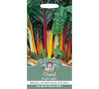 Mr Fothergills - Pictorial Packet - Vegetable - Chard Bright Lights - 150 Seeds