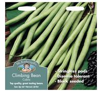 Mr Fothergills - Pictorial Packet - Vegetable - Climbing Bean Cobra - 50 Seeds