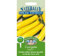 Mr Fothergills - Pictorial Packet - Vegetable - Courgette Soleil F1 - 10 Seeds