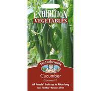 Mr Fothergills - Pictorial Packet - Vegetable - Cucumber Carmen F1 - 5 Seeds