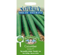 Mr Fothergills - Pictorial Packet - Vegetable - Cucumber Louisa F1 - 5 Seeds
