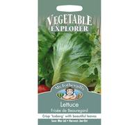 Mr Fothergill's 22155 Vegetable Seeds, Lettuce Frisee de Beauregard