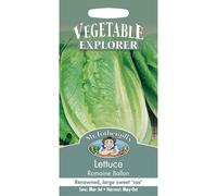 Mr Fothergills - Pictorial Packet - Vegetable - Lettuce Romaine Ballon - 1000 Seed