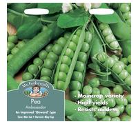 Mr Fothergills - Pictorial Packet - Vegetable - Pea Ambassador - 325 Seeds